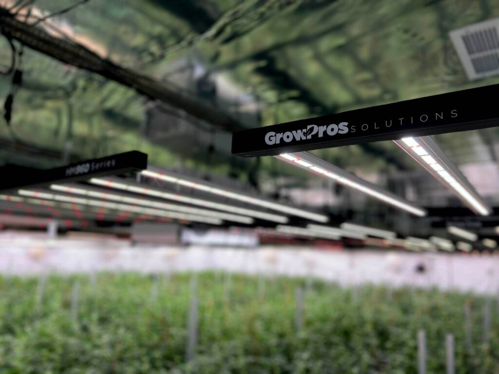 Spectrum-Optimized LED Grow Lights for Perfect Leaves