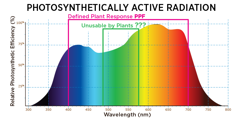 Value of PPFD/PAR and DLI: 2 meters Optimizing Grow