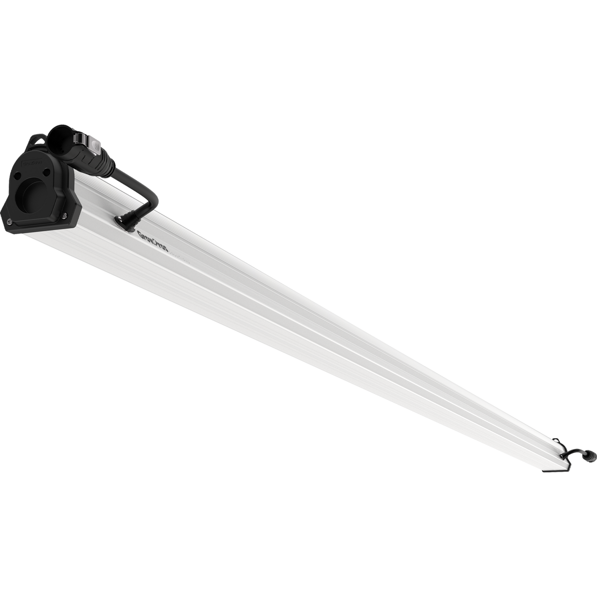 under canopy light